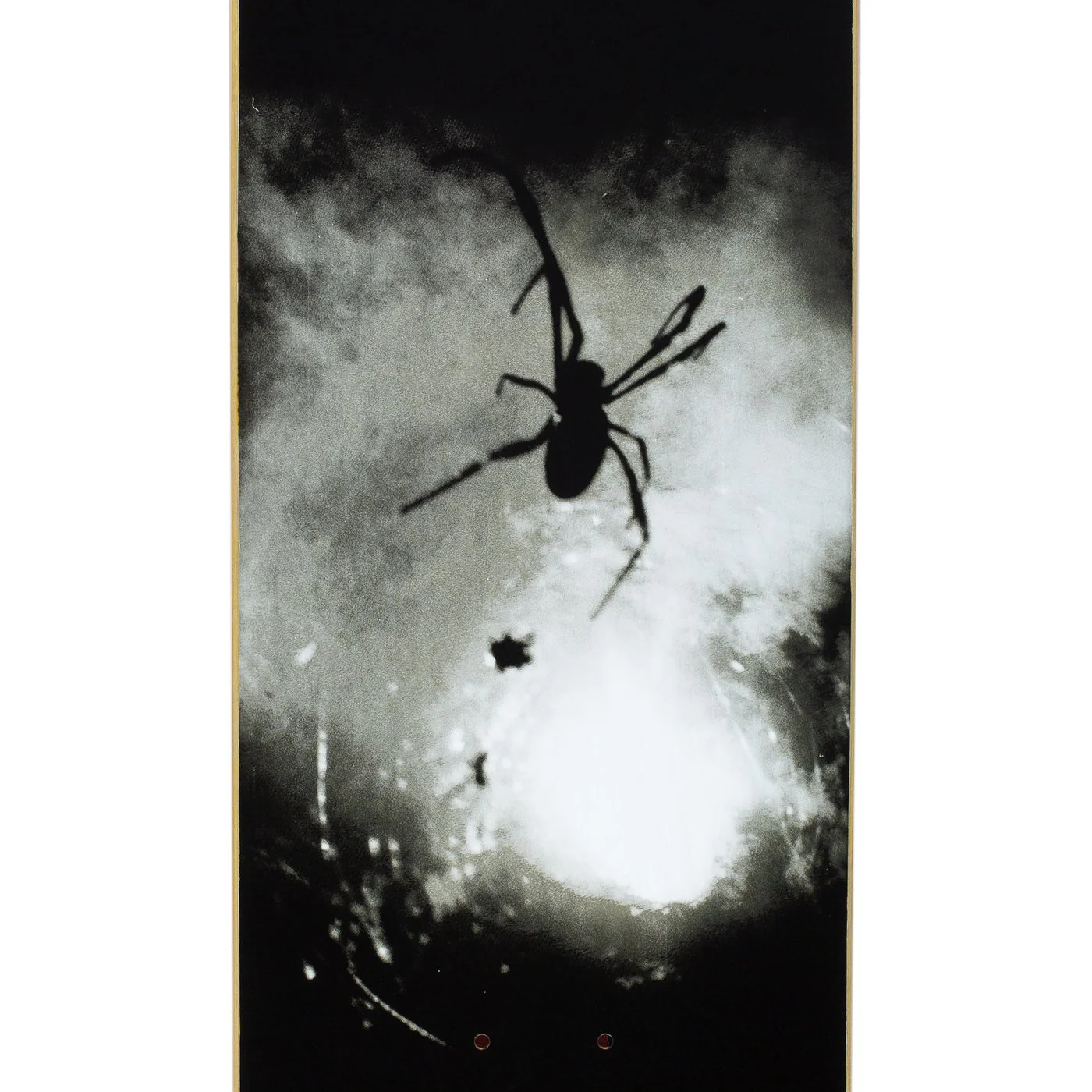 Fucking Awesome Spider Photo Skateboard Deck - 8.38 - Image 2