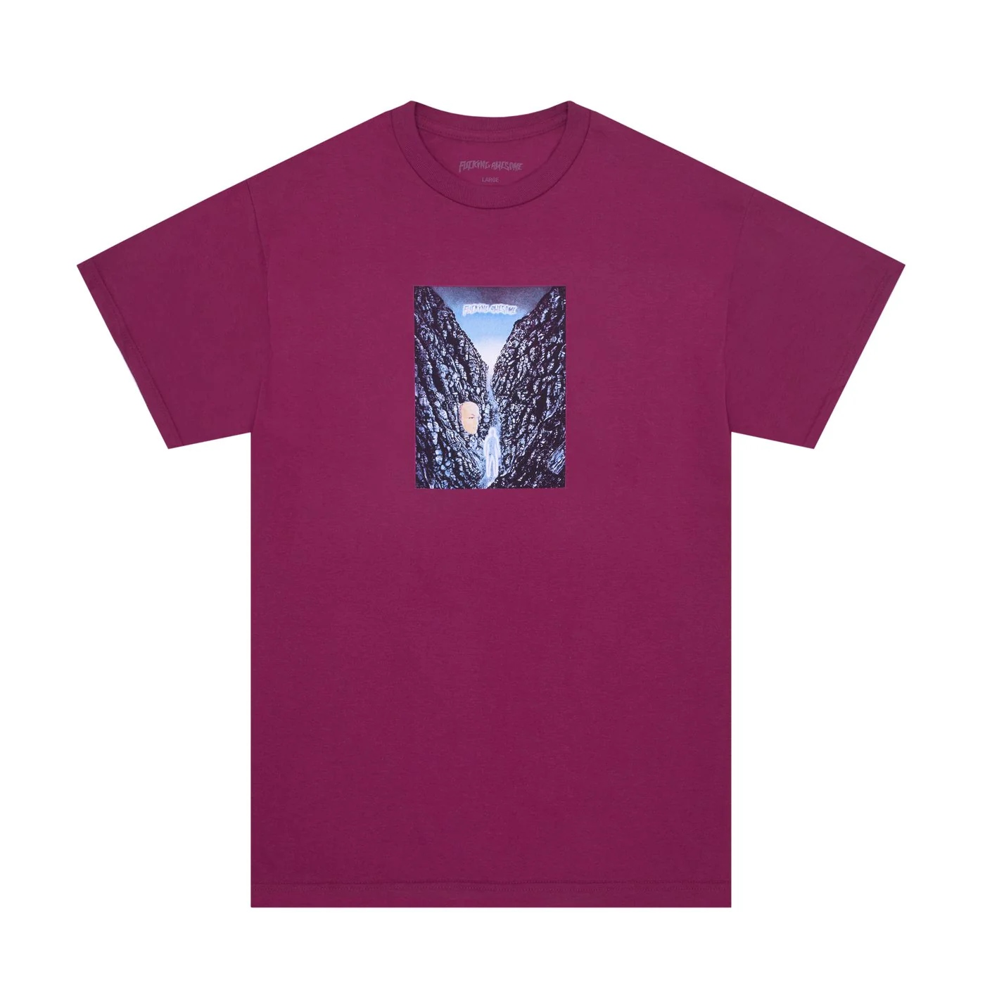 Fucking Awesome Waterfall T Shirt Berry