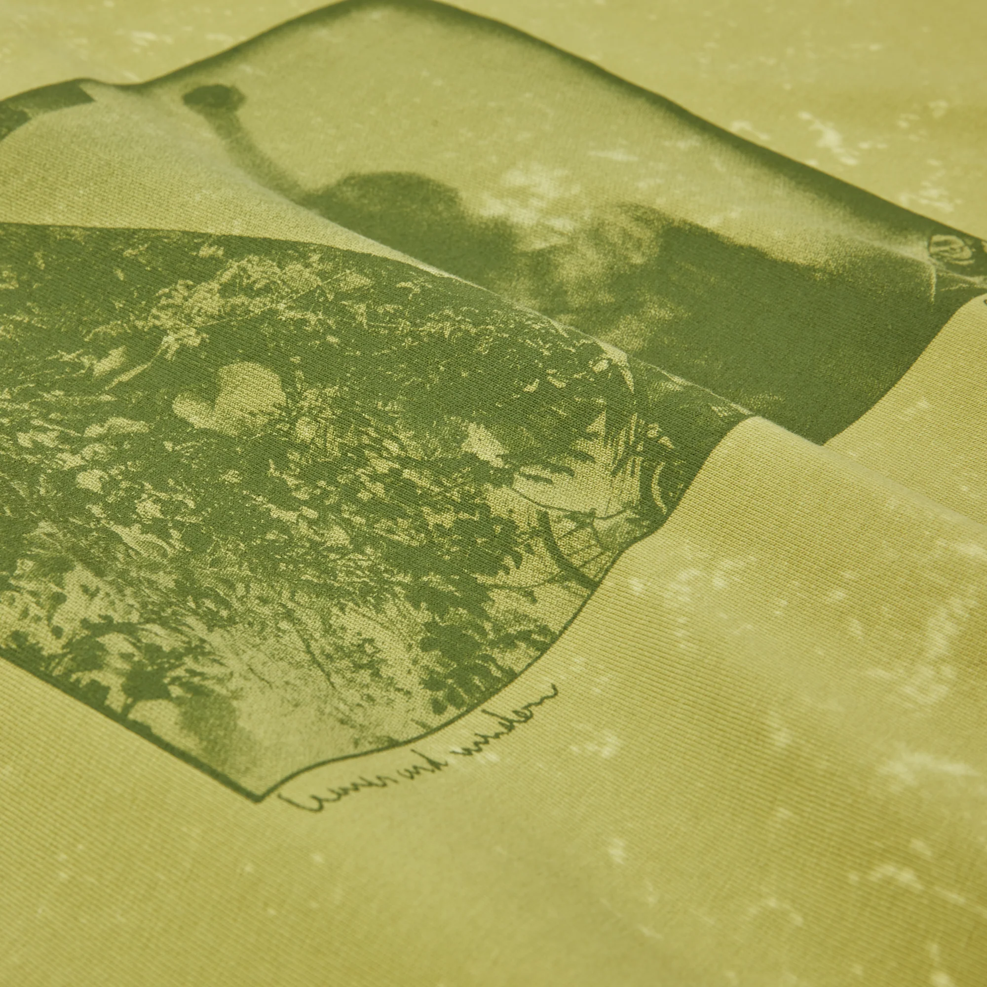 Polar Skate Co Leaves And Window Longsleeve - Pea Green - Image 3