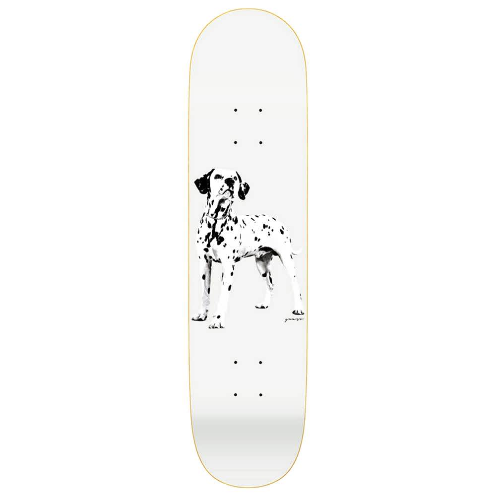 Quasi Skateboards Good Boy Skateboard Deck - 8.25